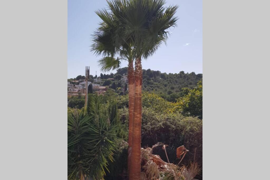 Casa Rustica Daire Torremolinos Dış mekan fotoğraf
