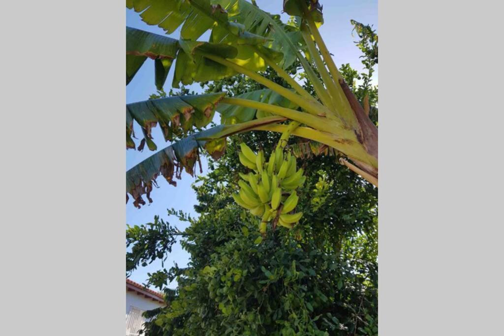 Casa Rustica Daire Torremolinos Dış mekan fotoğraf